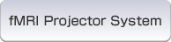 fMRI Projector System