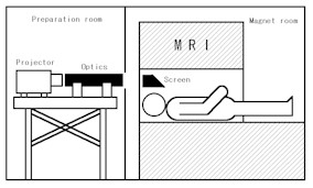 fMRI Projector System