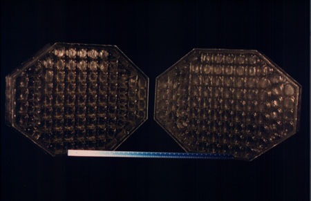 University of Chicago