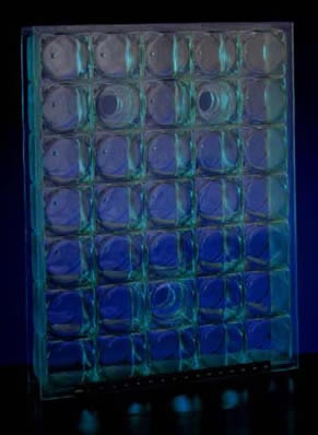 University of Chicago